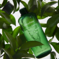 Load image into Gallery viewer, Moisturizing toner delivers intense hydration from Jeju Green Tea extract and Green Tea Seed Oil.